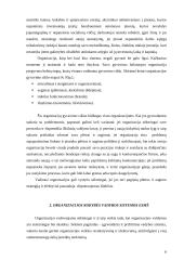 Organizacijos kokybės vadybos sistema: vertinimo aspektai 6 puslapis