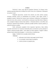 Paauglių ir tėvų santykių šeimoje ypatumai 2 puslapis