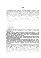 Pagrindinės ląstelės gyvybinės funkcijos 2 puslapis