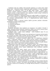 Pagrindinės ląstelės gyvybinės funkcijos 3 puslapis