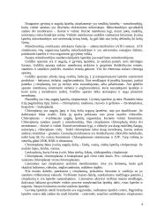 Pagrindinės ląstelės gyvybinės funkcijos 4 puslapis