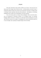 Pagrindinės mokymo ir mokymosi teorijos 13 puslapis