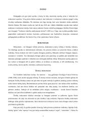 Pagrindinės mokymo ir mokymosi teorijos 3 puslapis