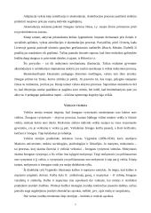 Pagrindinės mokymo ir mokymosi teorijos 5 puslapis