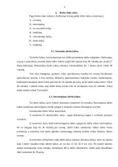 Pamaininis darbas ir jo rūšys 4 puslapis