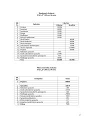 Parduotų atsargų apskaita, didžiosios knygos sąskaitos 17 puslapis