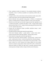 Parduotų atsargų apskaita, didžiosios knygos sąskaitos 19 puslapis