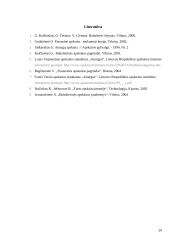 Parduotų atsargų apskaita, didžiosios knygos sąskaitos 20 puslapis