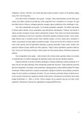 Parduotų atsargų apskaita, didžiosios knygos sąskaitos 5 puslapis