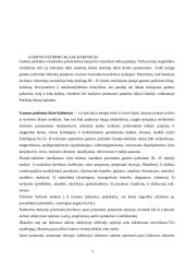 Pasaulio pažinimo mokymo resursai pradinėje mokykloje 3 puslapis