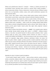 Pasaulio pažinimo mokymo resursai pradinėje mokykloje 4 puslapis