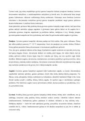 Pasaulio pažinimo mokymo resursai pradinėje mokykloje 5 puslapis