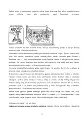 Pasaulio pažinimo mokymo resursai pradinėje mokykloje 6 puslapis