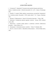 Pastoviosios informacijos žinynų formavimas, kompiuterizuojant gamybos išlaidų apskaitą 13 puslapis