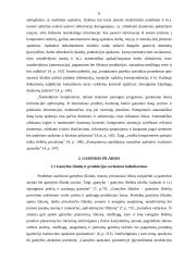 Pastoviosios informacijos žinynų formavimas, kompiuterizuojant gamybos išlaidų apskaitą 6 puslapis