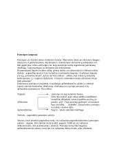 Pastraipų rašymas 2 puslapis