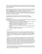 Pastraipų rašymas 3 puslapis