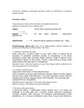 Pastraipų rašymas 5 puslapis