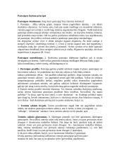 Pastraipų rašymas 7 puslapis