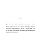 Pastraipų rašymas 9 puslapis