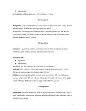 Pašto paslaugos Lietuvoje 10 puslapis