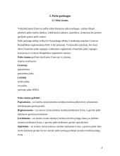 Pašto paslaugos Lietuvoje 3 puslapis