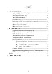 Patentai ir licencijos Lietuvoje 2 puslapis