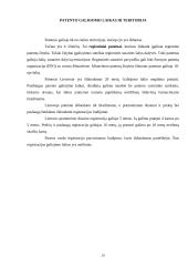 Patentai ir licencijos Lietuvoje 20 puslapis