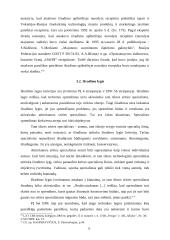 Patentų teisė: išradimų teisinės apsaugos aspektai – išradimų rūšys, patentabilumo kriterijai 12 puslapis