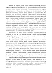 Patentų teisė: išradimų teisinės apsaugos aspektai – išradimų rūšys, patentabilumo kriterijai 8 puslapis