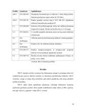 Patobulinto skaitmeninio belaidžio ryšio (DECT) standartas 19 puslapis