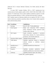 Patobulinto skaitmeninio belaidžio ryšio (DECT) standartas 4 puslapis