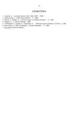 Paveldėjimas Lietuvos Didžiosios Kunigaikštystės statutuose 13 puslapis