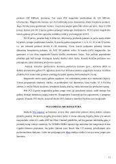 PCI magistralės ir sąsajos 11 puslapis