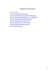 PCI magistralės ir sąsajos 16 puslapis