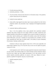 PCI magistralės ir sąsajos 5 puslapis