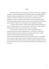 Pedagogo vertybės ir realizacijos problemos 2 puslapis