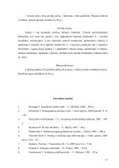 Persikų auginimas 11 puslapis