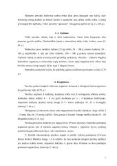 Persikų auginimas 7 puslapis