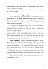 Persikų auginimas 9 puslapis