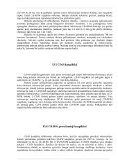 Personalinis kompiuteris 11 puslapis