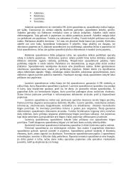 Personalinis kompiuteris 15 puslapis