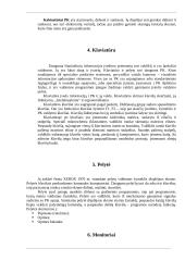 Personalinis kompiuteris 4 puslapis