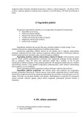 Personalinis kompiuteris 6 puslapis