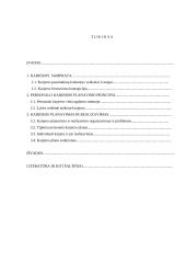 Įmonės personalo karjeros planavimas 2 puslapis