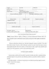 Įmonės personalo karjeros planavimas 19 puslapis