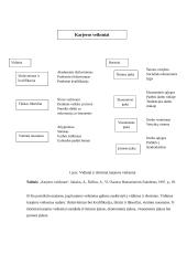 Įmonės personalo karjeros planavimas 6 puslapis