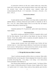 Pievagrybių auginimas pasaulinėje rinkoje 5 puslapis