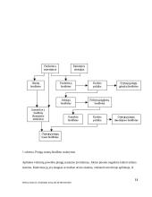 Pinigų srautų judėjimo analizė ir prognozės 10 puslapis