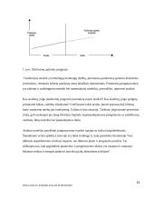 Pinigų srautų judėjimo analizė ir prognozės 12 puslapis